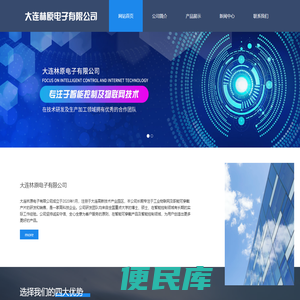 大连林原电子有限公司