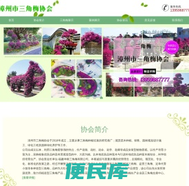 漳州市三角梅协会