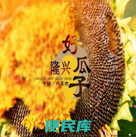 巴彦淖尔市隆兴商贸有限公司