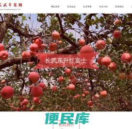 2023长武苹果批发价格，长武苹果行情，长武苹果果农直销，长武苹果批发购买代办电话