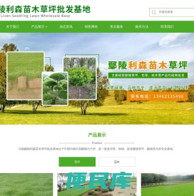 河南鄢陵利森苗木草坪批发基地,鄢陵草坪