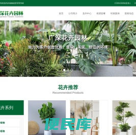 广州花木出租