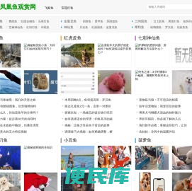 咖啡虎皮鱼,中国斗鱼最新消息