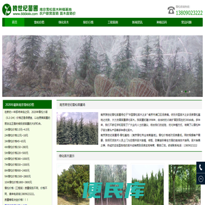 雪松