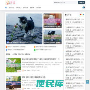 i养猫