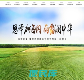 黑龙江省泽露种业有限公司,泽露种业,黑龙江玉米种子,龙单75,哈尔滨玉米种子,玉米种子,泽露农业