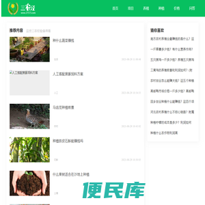 三农经