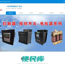 淄博莱宝电力电容器有限公司