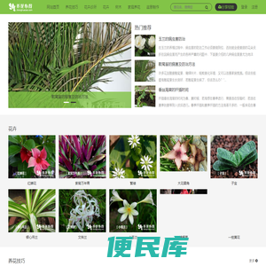 花卉网