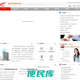 杭州智桥软件