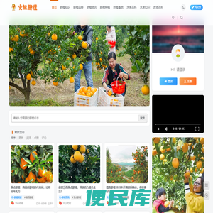 安远脐橙网