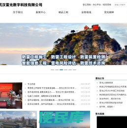 武汉雷光数字科技有限公司