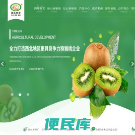 陕西绿心猕猴桃价格