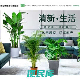 南京绿植物租赁