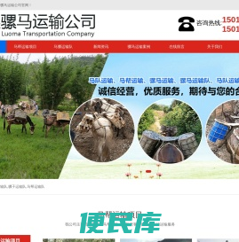 马队运输