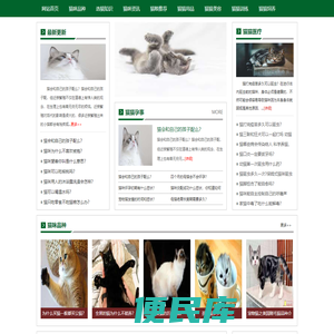 猫咪馆