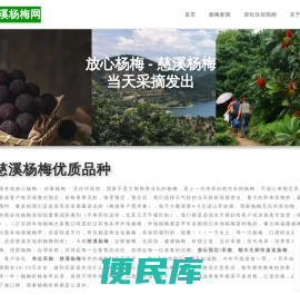 慈溪杨梅
