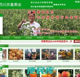 成都天府新区宗富水果种植专业合作社