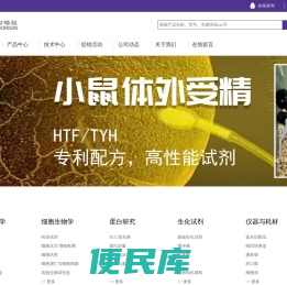 百瑞极