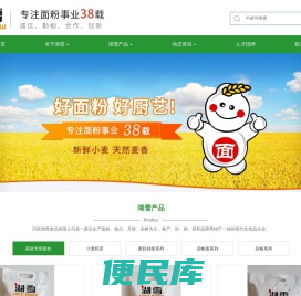 全麦面粉,河南湖雪食品有限公司