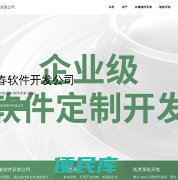 长春软件外包公司