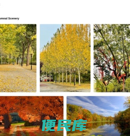 手机软件下载
