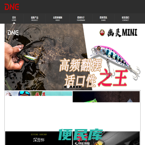 DNE去路亚