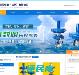 乐控仪表(杭州)有限公司