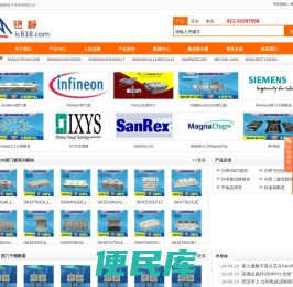 功率模块