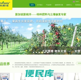 新加坡新南洋