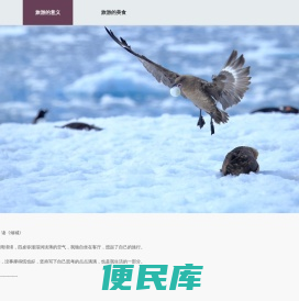 旅游分享