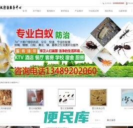 晋江白蚁防治站