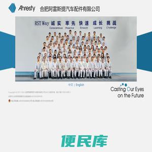 合肥阿雷斯提汽车配件有限公司