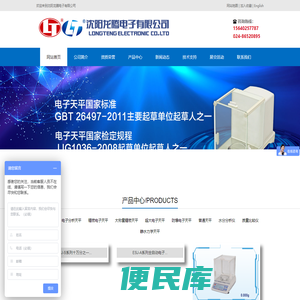沈阳龙腾电子有限公司