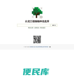 树木二维码