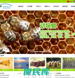 丽康伟业