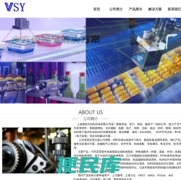 上海视亚自动化科技有限公司