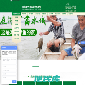 甲鱼