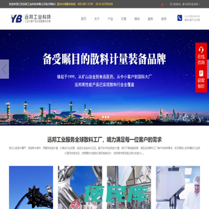 皮带秤厂家
