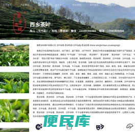 汉中绿茶、西乡特炒、汉中仙毫