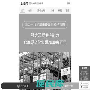 长沙威胜电表