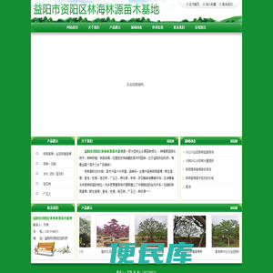 移栽香樟,野生香樟,香泡,杜楧,桂花树,益阳市资阳区林海林源苗木基地