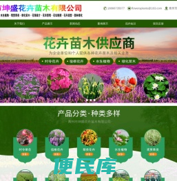 宿根花卉,山东草花,草花批发,花海设计