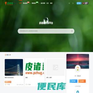 皮诸葛