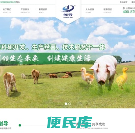 母猪料