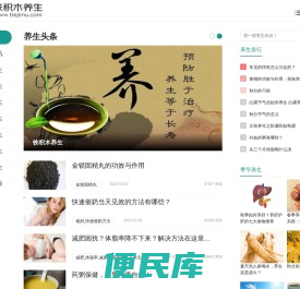 铁积木养生网