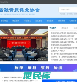 湖北省融资担保业协会