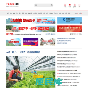 中新网海南