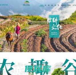 深圳凤凰山农趣谷