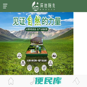 诺丽｜诺丽原液｜海南诺丽果原液